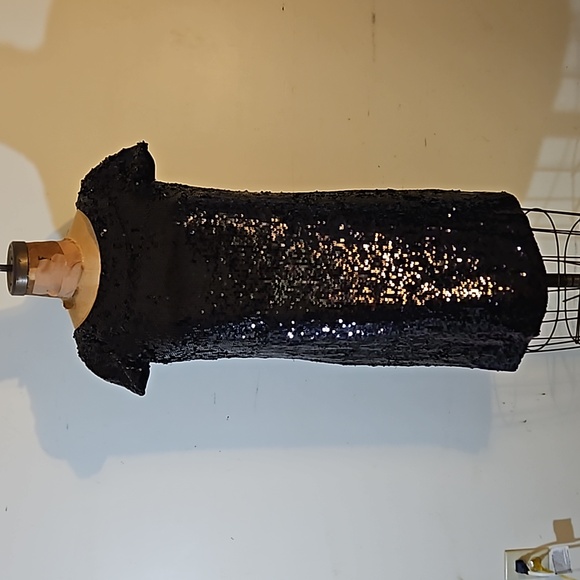 Sequins anyone?   Darling NWT Banana Republic size 4 dress - Picture 5 of 13